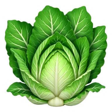 chinese cabbage sticker