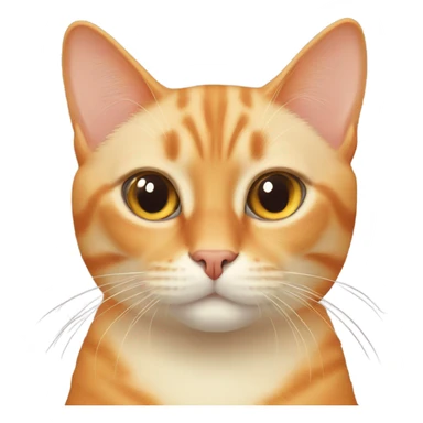 Orange cat and Siamese cat sticker