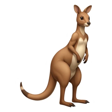 Kangaroo balancing on its tail sticker