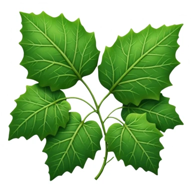 Sarmaşık yaprakları sticker