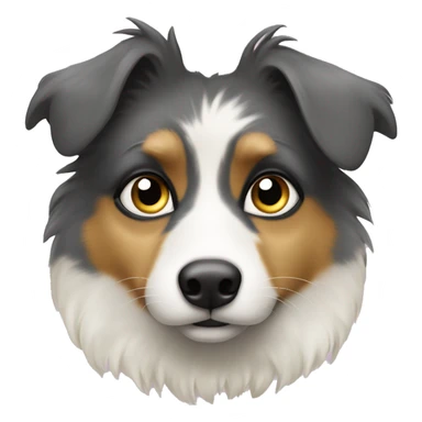 Berger australien yeux bleus  sticker