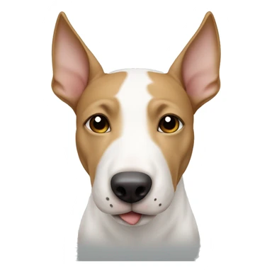 white bull terrier with the right ear and right eyebrow light brown sticker