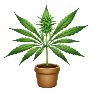 Cannabis sticker