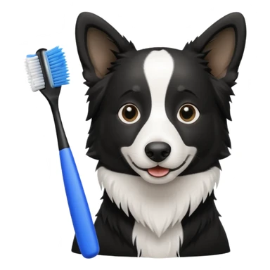 border collie black and white holding a blue toothbrush sticker