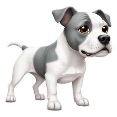 Staffie chien une oreille blanc et l’autre gris  sticker