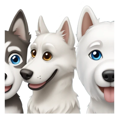 3dog : One. Grey Husky with blue eyes, a beige HUSKY with brown eyes and a white Westies sticker