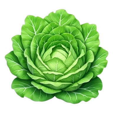 iceberg lettuce leaves sticker