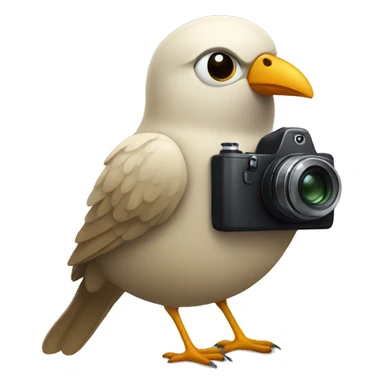 Bird with a camera sticker