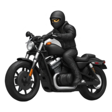 Ninja-bd-harley Davidson sticker