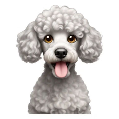 Merle mini poodle sticker