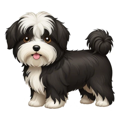ALL black Havanese dog  sticker