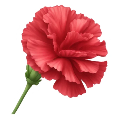 red carnation flower emoji ios sticker