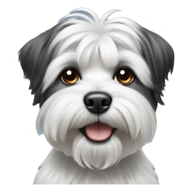 shitzu terrier black and white dog sticker
