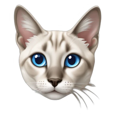 blue eyes Lynx point siamese cat sticker