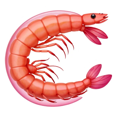 a shrimp with "Envie de crevette" written below sticker