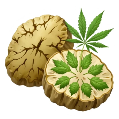 slices of white truffle with cannabis leaf sticker