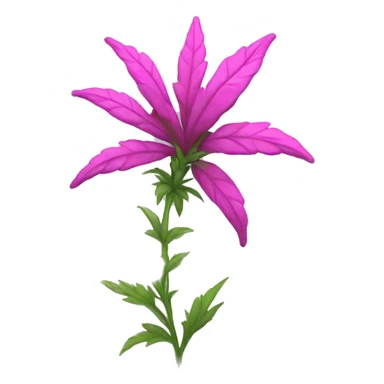 Pink weed sticker