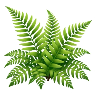 A cluster of soft green ferns growing under shaded trees. sticker