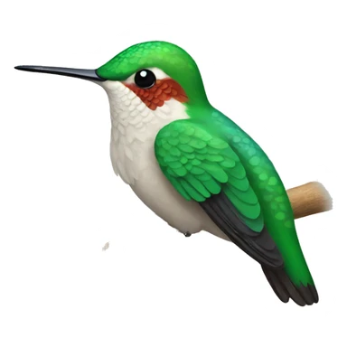 hummingbird Bird sticker