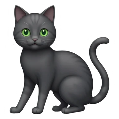 full body gorgeous solid dark grey cat with green eyes, white paws and white whiskers playing sticker