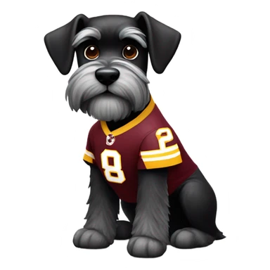 Black schnauzer wearing a Washington redskins jersey sticker