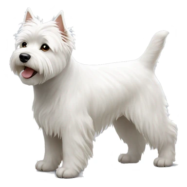 White west highland terrier stand on the ground sticker