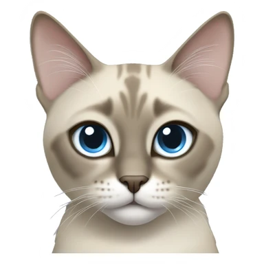 Thai breed cat with a light cream-brown body, dark gray face, ears, and paws. Short fur, sharp ears, and striking light blue eyes with an intense gaze. sticker