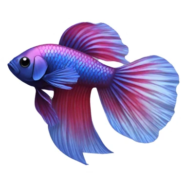 betta fish sticker