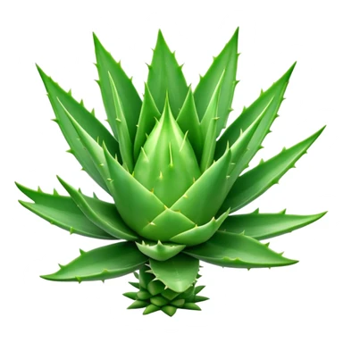 Cinematic Realistic Aloe Vera Emoji, Plump and succulent, with thick, fleshy leaves arranged in a star-like rosette. The vibrant green leaves have a slightly spiky texture, exuding a sense of resilience and healing. Soft glowing outline, capturing the essence of natural wellness and desert vitality in a flourishing aloe vera plant! sticker