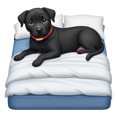 Tugging black lab/amstaff dog into bed sticker
