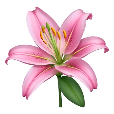 Aesthetic pink lily sticker