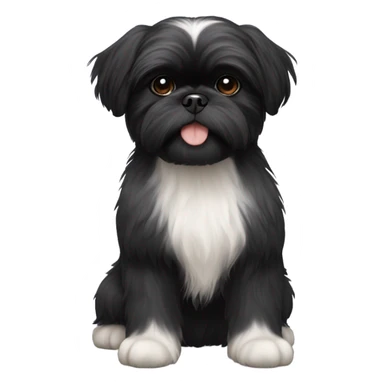 Black shih tzu puppy with short hair sticker