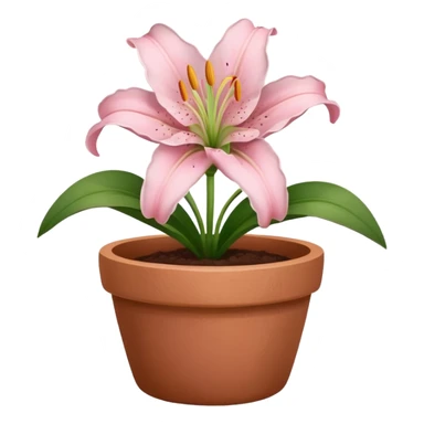 light pink lily in a clay pot sticker