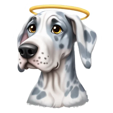 Blue Merle Great Dane wearing a angel costume  sticker
