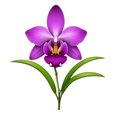 single purple Dendrobium Orchid flower, stem sticker