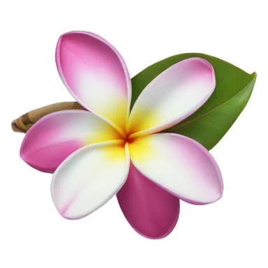 frangipani flower sticker