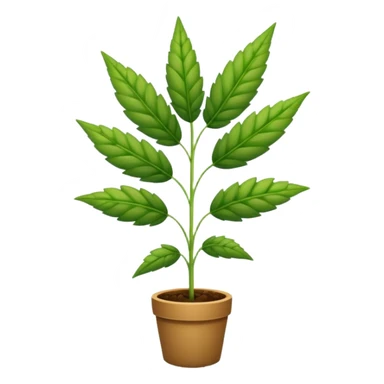 weed plant sticker