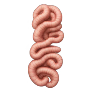 Large intestine sticker