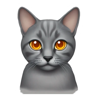 gray lop-eared cat with orange eyes sticker