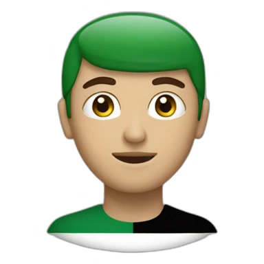 A human his face is Palestine flag sticker