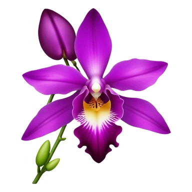 single purple Dendrobium Orchid flower, stem sticker