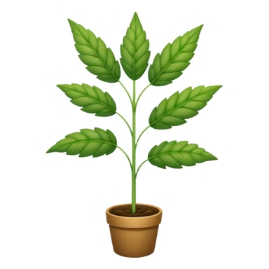 Weed plant sticker
