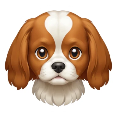 Cavalier King Charles Spaniel dog Preliminary Acceptance Inspection sticker