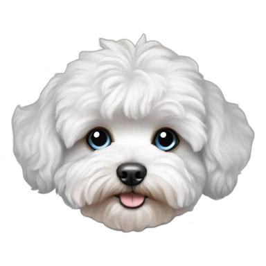 blue eyed maltipoo sticker