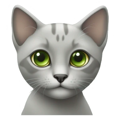 Gata común gris ojos verdes  sticker
