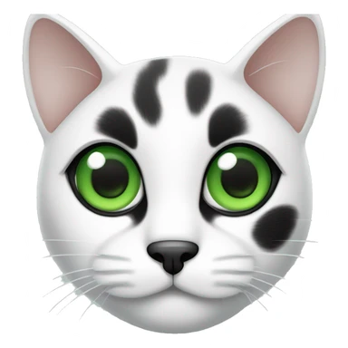 Black and white cat with green eyes, black dots on both ears and only one eye with green eyes sticker