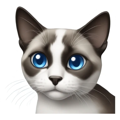 Black and white snowshoe cat with blue eyes sticker