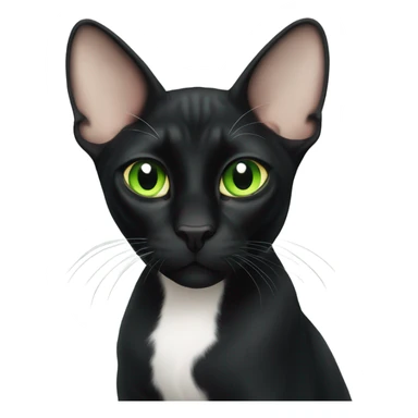  green eyed sphinx black cat with white spot on the nose sticker