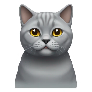 Grey British shorthair cat  sticker