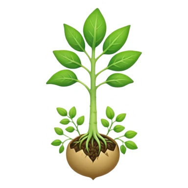 Sprout with no face just a sprout from a seed  sticker